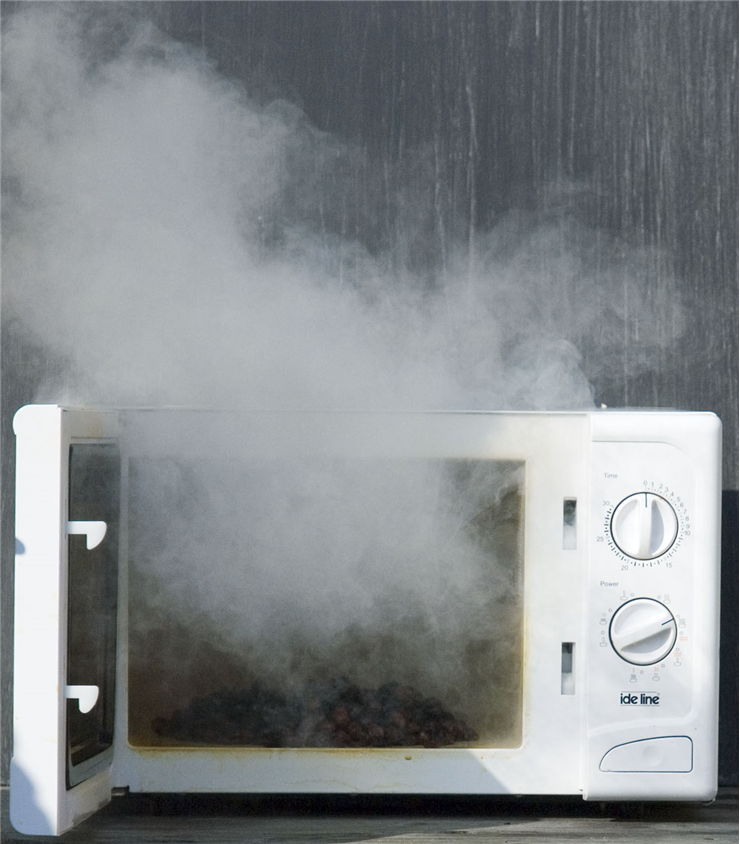Picture Of Raisins In A Microwave Oven
